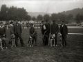 CARRERA DE GALGOS EN EL CANODROMO DE AMARA. (Foto 2/3)