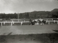 CARRERAS DE CABALLOS EN EL HIPODROMO DE LASARTE. (Foto 4/24)