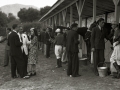 CARRERAS DE CABALLOS EN EL HIPODROMO DE LASARTE. (Foto 10/24)