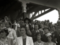 CARRERAS DE CABALLOS EN EL HIPODROMO DE LASARTE. (Foto 15/24)