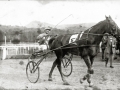 CARRERAS DE TROTONES Y DE CABALLOS EN EL HIPODROMO DE LASARTE. (Foto 1/2)