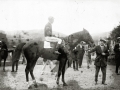 CARRERAS DE TROTONES Y DE CABALLOS EN EL HIPODROMO DE LASARTE. (Foto 2/2)