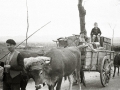 CARROS DE BUEYES CON ENSERES DE LAS VICTIMAS DE LA GUERRA OBLIGADAS A EVACUAR EN EIBAR. (Foto 1/2)