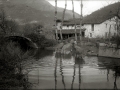 CASERIO JUNTO AL RIO URUMEA EN ASTIGARRAGA.VACAS ABREVANDO EN EL RIO URUMEA. (Foto 1/1)