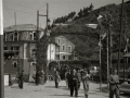CELEBRACION DE UNA FERIA GANADERA EN LA LOCALIDAD DE TOLOSA. (Foto 8/11)