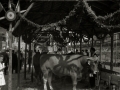 CELEBRACION DE UNA FERIA GANADERA EN LA LOCALIDAD DE TOLOSA. (Foto 11/11)