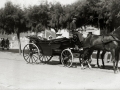 COCHE DE CABALLOS POR EL PASEO DE LA CONCHA. (Foto 1/1)