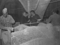 Jorge Oteiza en el taller de las esculturas