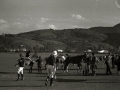 COMPETICION DE POLO EN EL HIPODROMO DE LASARTE. (Foto 5/10)