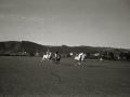 COMPETICION DE POLO EN EL HIPODROMO DE LASARTE. (Foto 6/10)