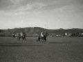 COMPETICION DE POLO EN EL HIPODROMO DE LASARTE. (Foto 9/10)