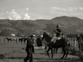COMPETICION DE POLO EN EL HIPODROMO DE LASARTE. (Foto 10/10)