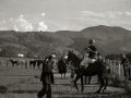 COMPETICION DE POLO EN EL HIPODROMO DE LASARTE. (Foto 10/10)