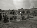 COMPETICION HIPICA EN LOIOLA. (Foto 1/2)