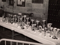 Trofeos del concurso de perretxikos
