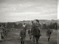 CONCURSO DE SALTO EN LA HIPICA MILITAR DE LOIOLA. (Foto 6/21)