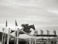 CONCURSO DE SALTO EN LA HIPICA MILITAR DE LOIOLA. (Foto 15/21)