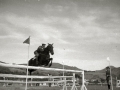 CONCURSO DE SALTO EN LA HIPICA MILITAR DE LOIOLA. (Foto 20/21)