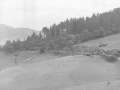 Vista general durante el concurso