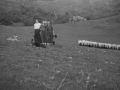 Participantes del concurso con trofeo
