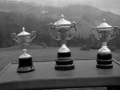 Trofeos de la competición