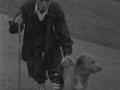 Pastor con su perro