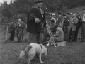 Pastor con su perro