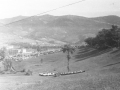 Vista del rebaño durante el concurso