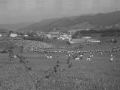Vista general del prado y público asistente al concurso