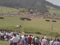Prado del concurso