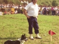Pastor junto a su perro