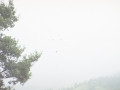 Paso de parapente durante el concurso