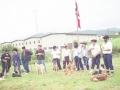 Pastores con sus perros