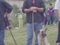 Pastor con su perro