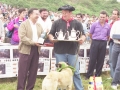 El alcalde Angel Iturbe hace acto de entrega de un premio a un pastor