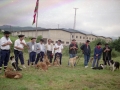 Pastores con sus perros