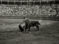 CORRIDA DE TOROS EN LA PLAZA DE "EL TXOFRE". (Foto 1/79)