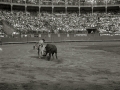 CORRIDA DE TOROS EN LA PLAZA DE "EL TXOFRE". (Foto 3/79)