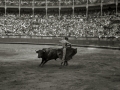 CORRIDA DE TOROS EN LA PLAZA DE "EL TXOFRE". (Foto 4/79)