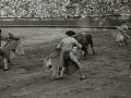 CORRIDA DE TOROS EN LA PLAZA DE "EL TXOFRE". (Foto 5/79)