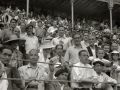 CORRIDA DE TOROS EN LA PLAZA DE "EL TXOFRE". (Foto 10/79)