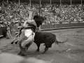CORRIDA DE TOROS EN LA PLAZA DE "EL TXOFRE". (Foto 12/79)