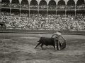 CORRIDA DE TOROS EN LA PLAZA DE "EL TXOFRE". (Foto 18/79)