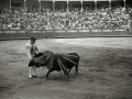 CORRIDA DE TOROS EN LA PLAZA DE "EL TXOFRE". (Foto 25/79)