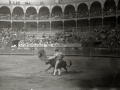 CORRIDA DE TOROS EN LA PLAZA DE "EL TXOFRE". (Foto 26/79)