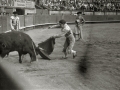 CORRIDA DE TOROS EN LA PLAZA DE "EL TXOFRE". (Foto 28/79)