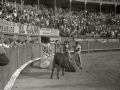 CORRIDA DE TOROS EN LA PLAZA DE "EL TXOFRE". (Foto 30/79)