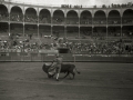 CORRIDA DE TOROS EN LA PLAZA DE "EL TXOFRE". (Foto 36/79)