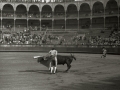 CORRIDA DE TOROS EN LA PLAZA DE "EL TXOFRE". (Foto 37/79)