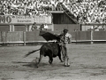 CORRIDA DE TOROS EN LA PLAZA DE "EL TXOFRE". (Foto 46/79)